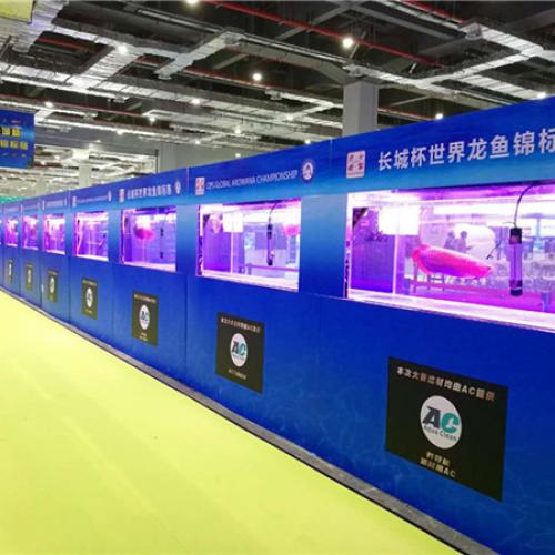 Aqua Clean-Exclusive Sponsor For 2017 CIPS Arowana Championship  Aqua Clean-Exclusive Sponsor For 2017 CIPS Arowana Championship