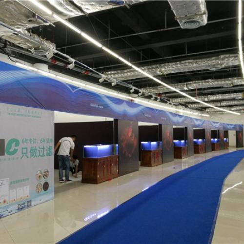 Exclusive Sponsor for 2017 China Goldfish Championship 