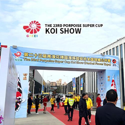 The 23rd Porpoise Super Cup Koi Show (Nanhai Flower Expo) 