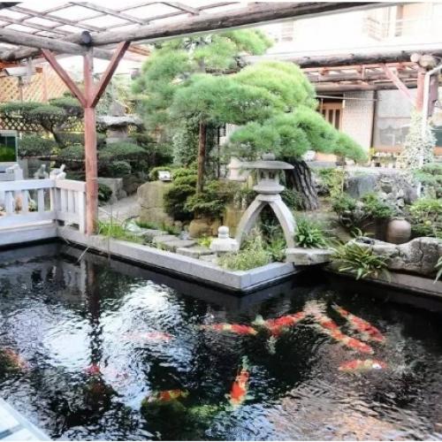 Filter media for koi pond