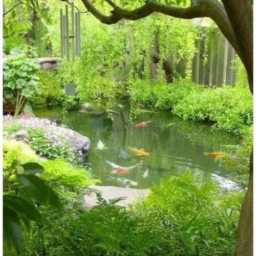 The application of koi pond in garden courtyard The application of koi pond in garden courtyard