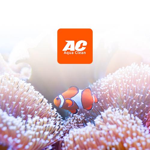 Which One Is Best For Your Fish Tank?