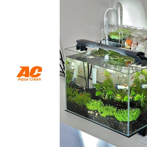 Does Your Fish Tank Filter Media Need Replacing? Does Your Fish Tank Filter Media Need Replacing?