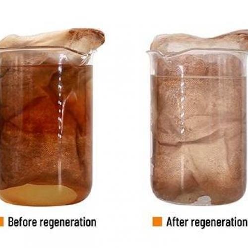 AC Aqua Clean Organic Remover  