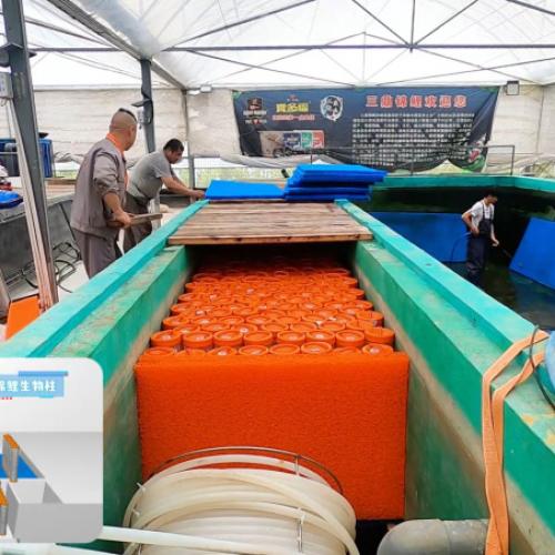 Enhancing Aquatic Ecosystems: How AC Aqua Clean Filter Mats Revolutionize Your Filtration System  