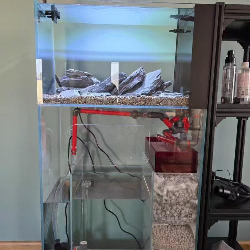 The Perfect Combination of Water Conditioning and Filter Media: Creating Dream Aquatic Landscapes  