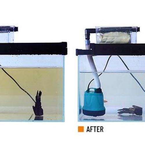 The Secret Weapon That Turns “Dirt Water” into an Ultra-Clear Tank – AC Organic Remover Deep Dive