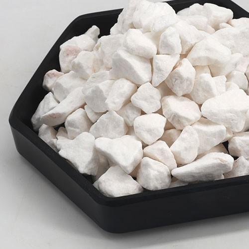 Let Your Corals Shine: AC Activated Calcium & Magnesium Reactor Media – the 