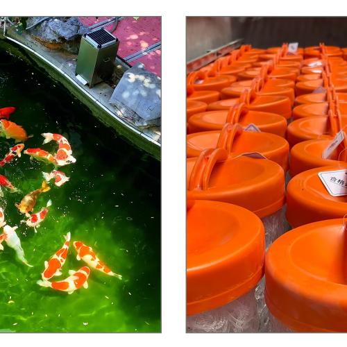 Building Top-Tier Koi Pond Water Quality: An In-Depth Analysis of AC AquaClean Professional Filter Media Series