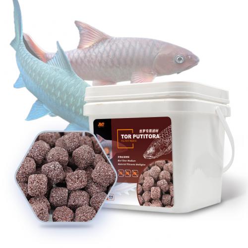 Unlocking the Color Code of Tor Putitora: How AC's Specialized Filter Media Makes Xilan Tor and Blue Tor Radiate Ultimate Colors