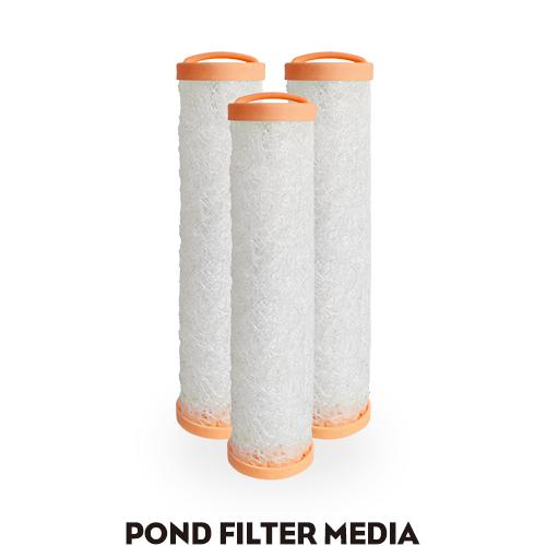 AC Koi Biological Pillar