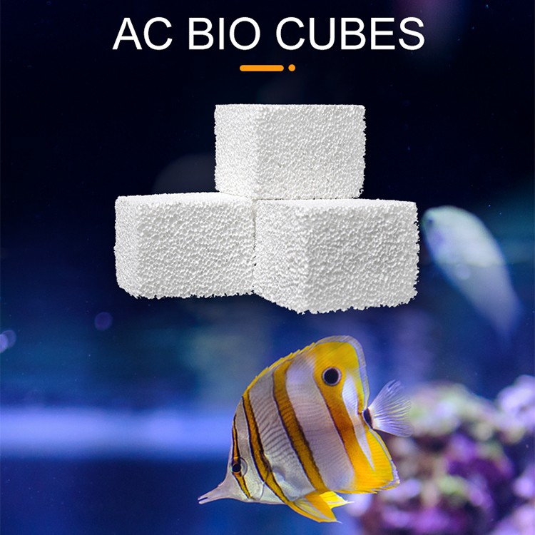 AquaClean Bio Cube 