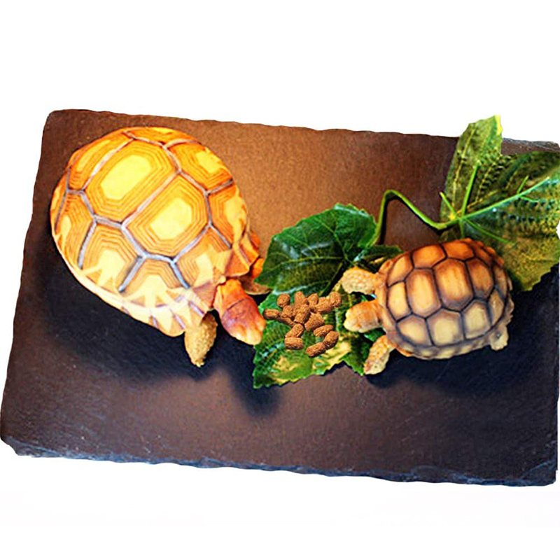 Reptile Basking Ceramic Platform